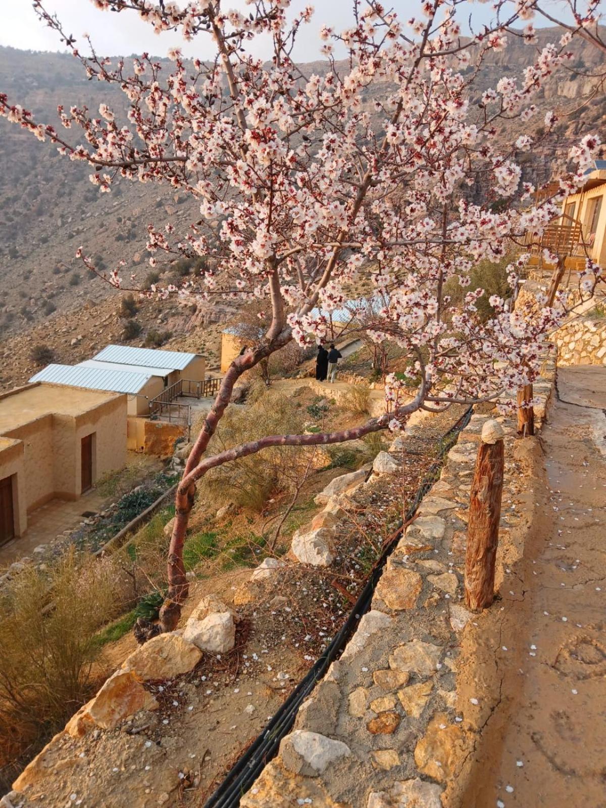 Parque de Campismo Village Camp-wadi Eco Camp